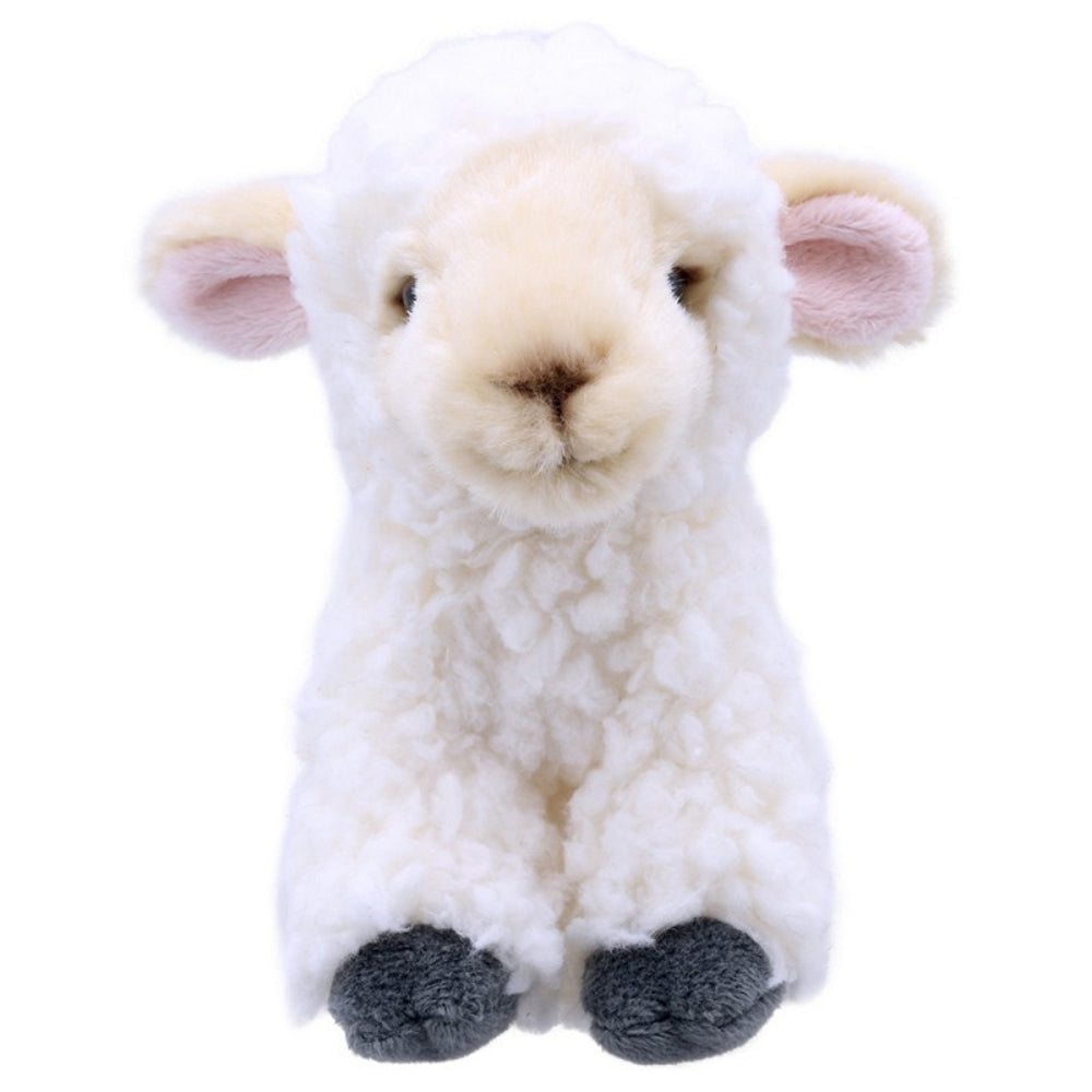 Baby top stuffed lamb
