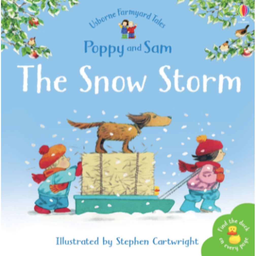 The Snow Storm by Usborne