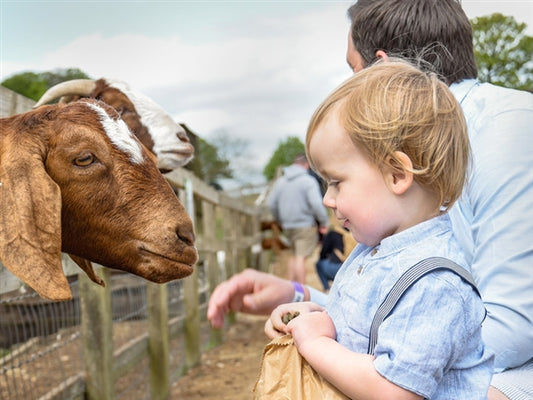 Are Farms Safe for Babies? Exploring the Delightful World of Farm Adventures