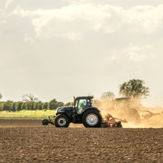 The Best Cotswold Farm Parks for a Fun Family Day Out in 2023