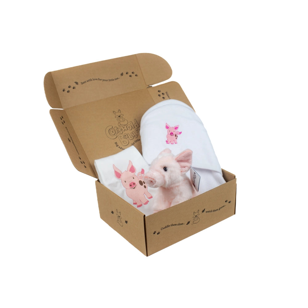 Baby Piglet Gift Box