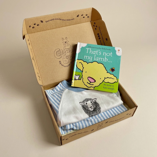 A curated baby gift box from Cotswold Baby Co, featuring a blue and white striped baby bib with a sheep print, a children's board book titled 'That's not my lamb'