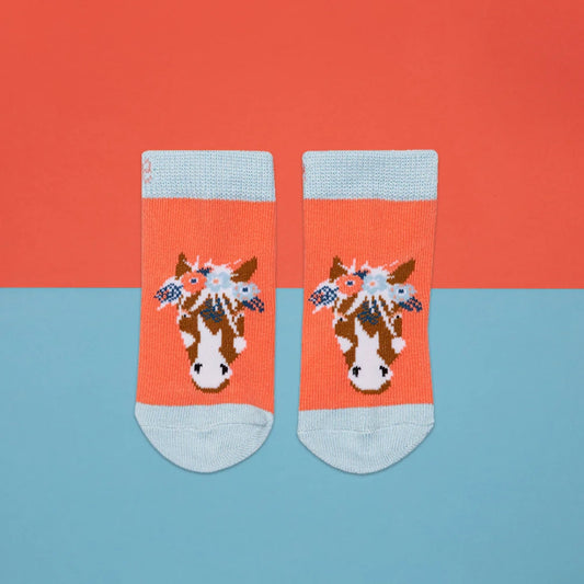 horse socks