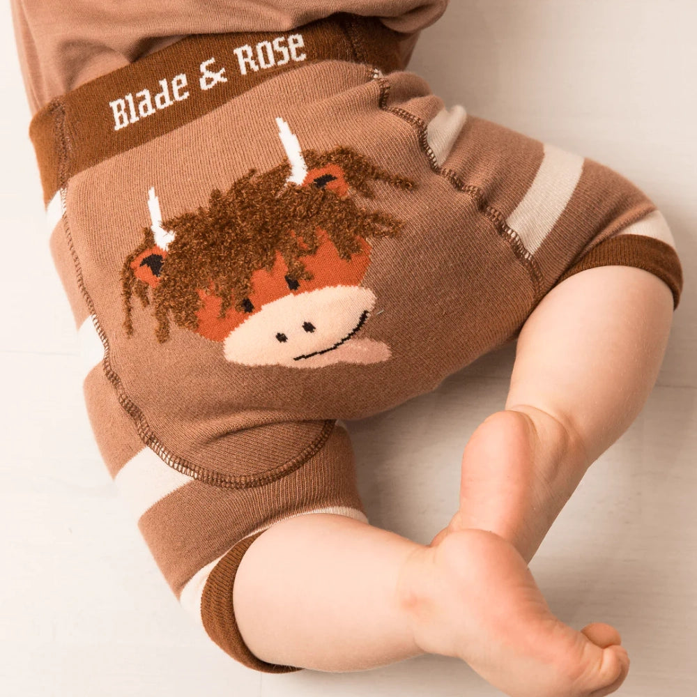 Highland Cow Shorts |Blade & Rose