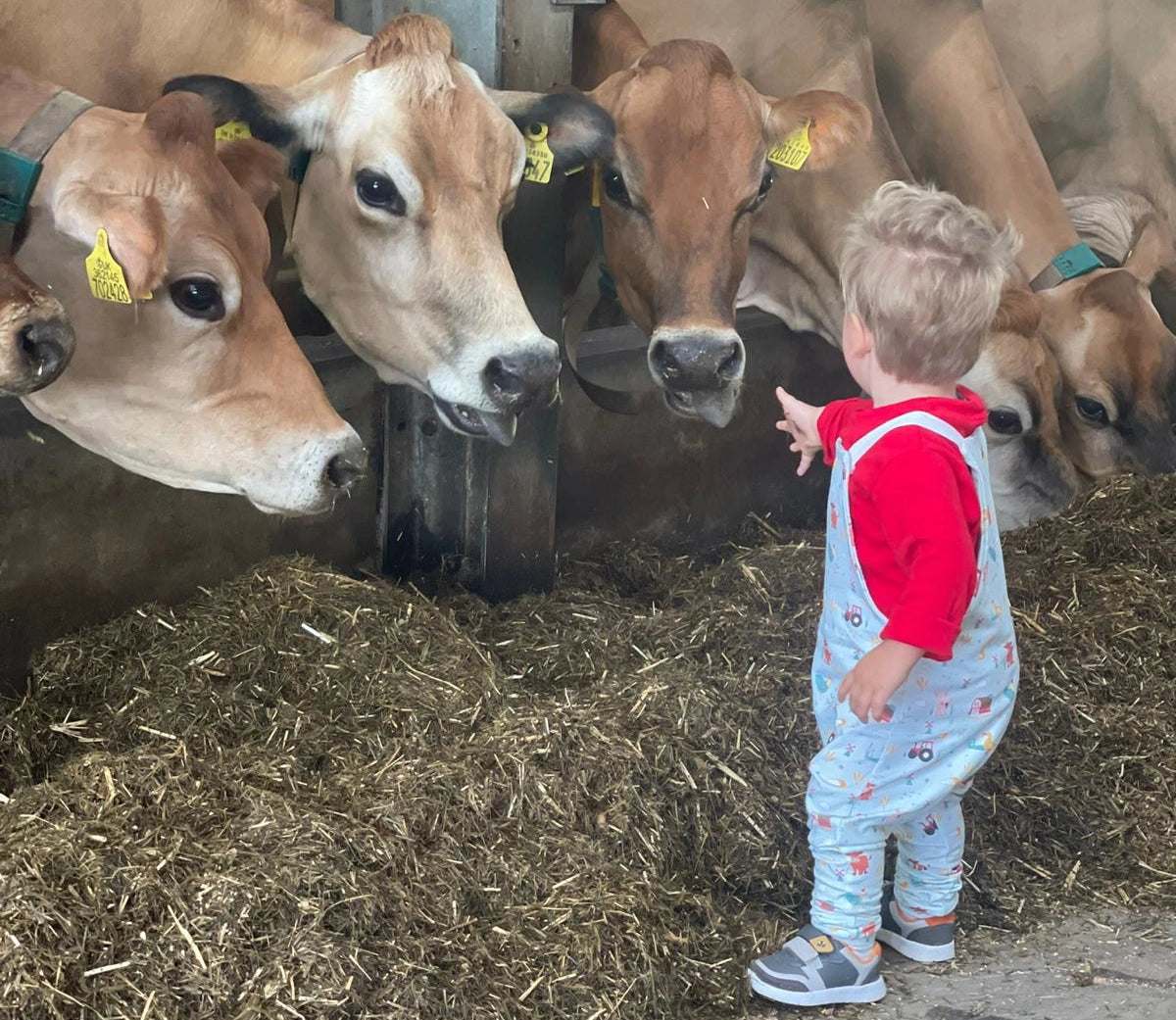 Farm Baby Clothes and Baby Gifts Kids Clothes Cotswold Baby Co.