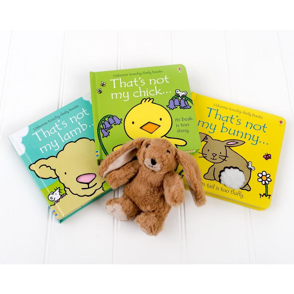 that's not my chick book, that's not my bunny book, that's not my lamb book, snuggly bunny soft toy