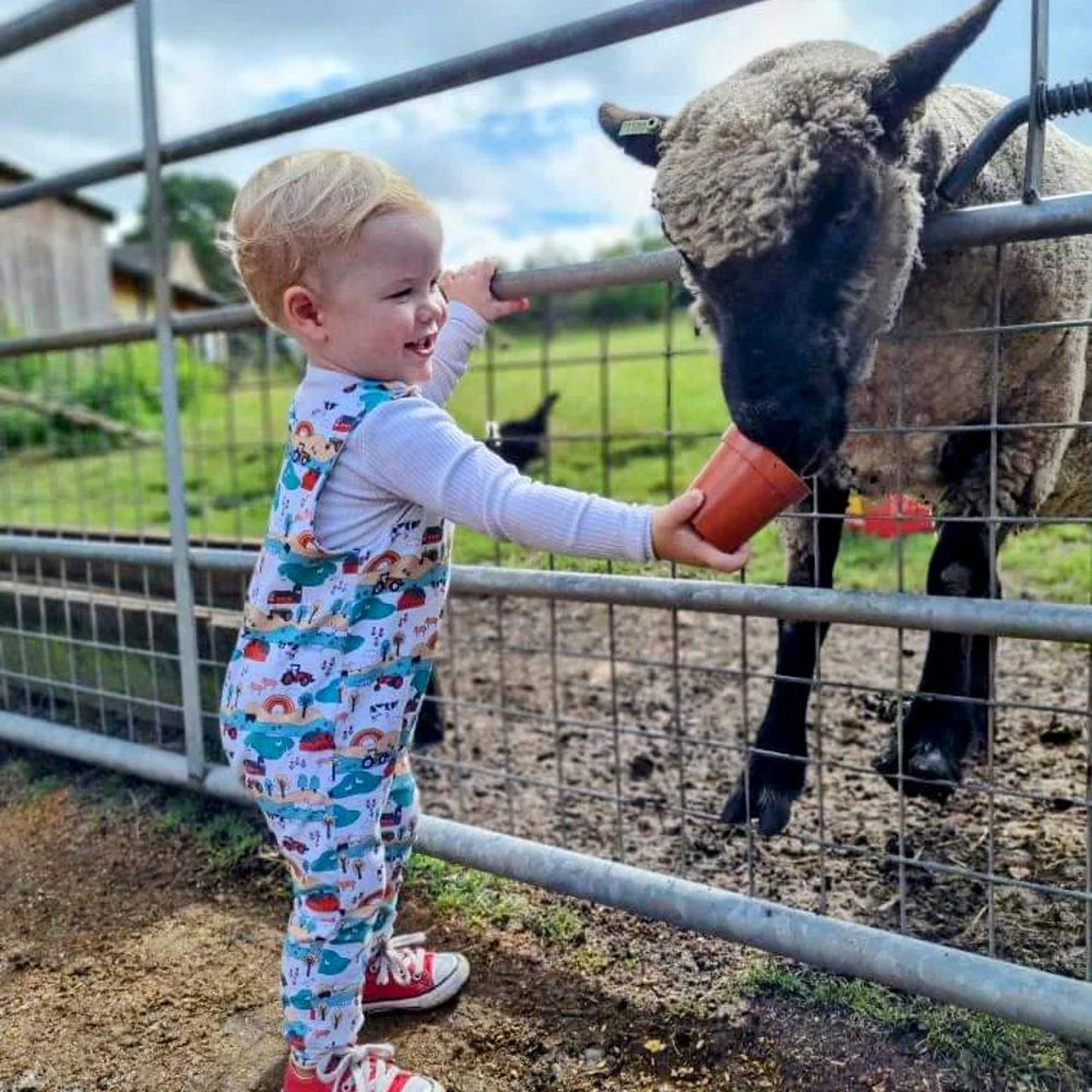 boy in romper