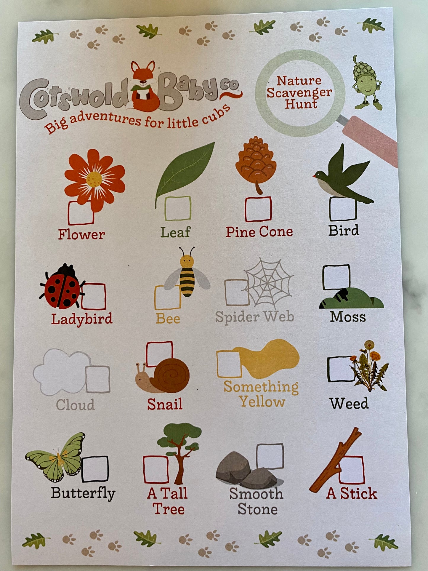 Bertie's Activity Pack